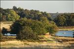 Richmond Park